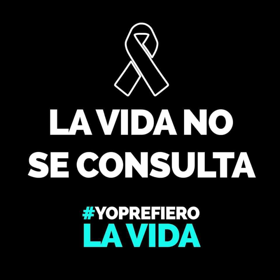 Repudio total al asesinato de Samir Flores Soberanes, exigimos justicia