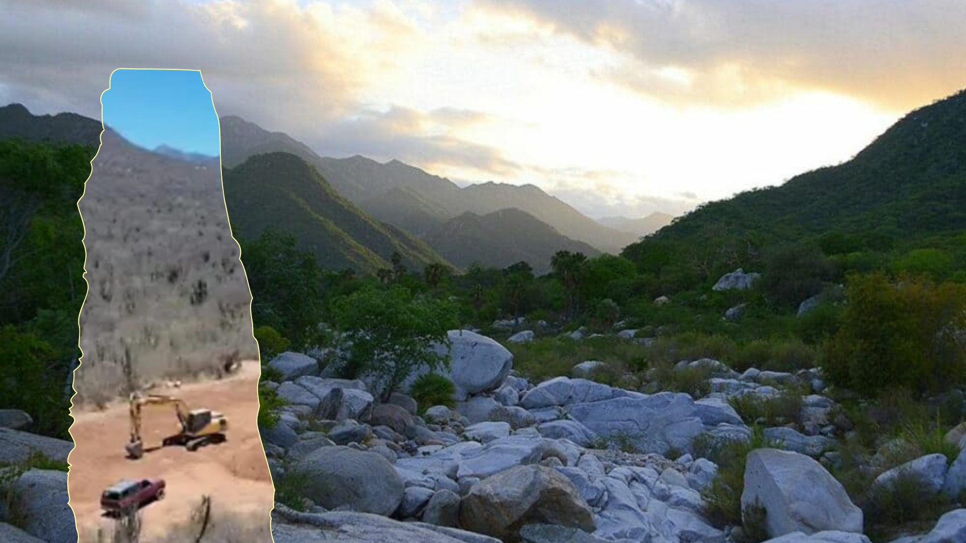 ECOCIDIO