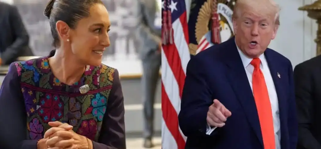 sheinbauytrump