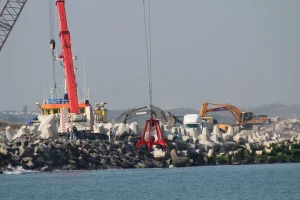 La ampliación del Puerto de Veracruz ocasiona un ecocidio. ¿Qué hacer para impedirlo? ¡Organización obrera!